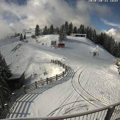 Der erste Wintergruß