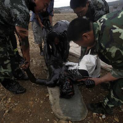 Ölkatastrophe vor China