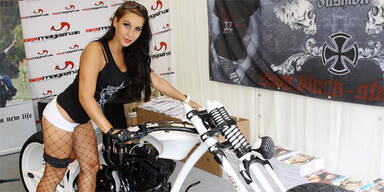Neun Bikes bei Harley-Treffen gestohlen