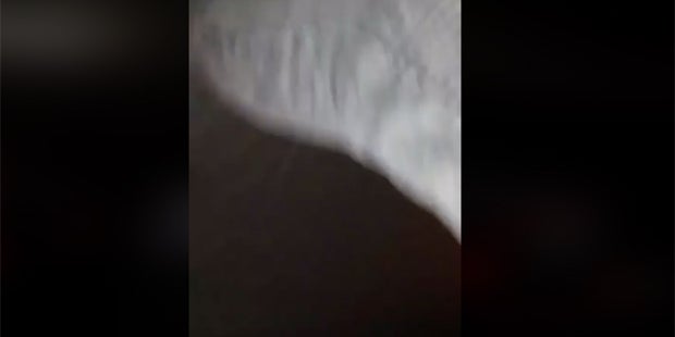 Unglück gestreamt: Fahrer und Kind sterben bei Live-Übertragung