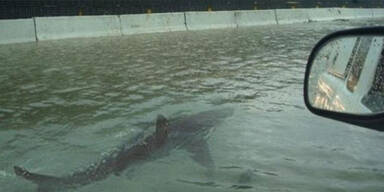 Diese Wetter-Fotos sind alle nicht echt