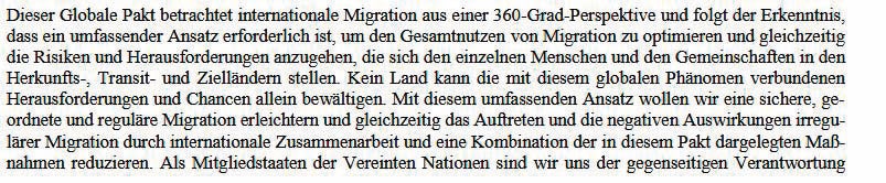 'Nein' zu UNO-Migrations-Pakt