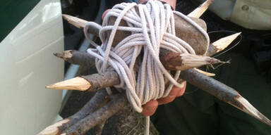 Todes-Fallen auf US-Wanderpfad