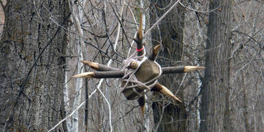 Todes-Fallen auf US-Wanderpfad