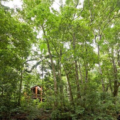 10. Nandini Bali Jungle Resort & Spa (Ubud, Bali)