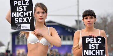 Wiener attackiert Tierschützer mit Buttersäure