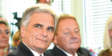 Faymann Ambros