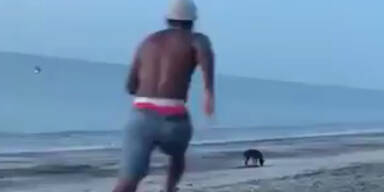 Tierqu&auml;ler tritt nach Hund - doch dieser r&auml;cht sich genial