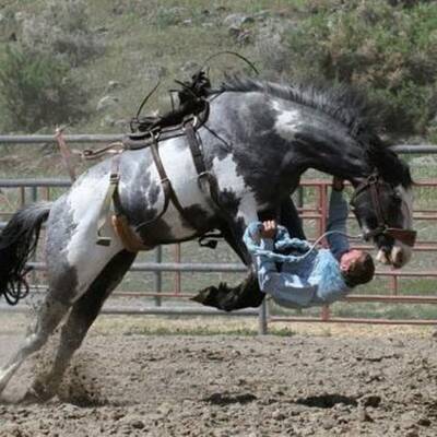 Hier dürfte sich jemand etwas verschätzt haben