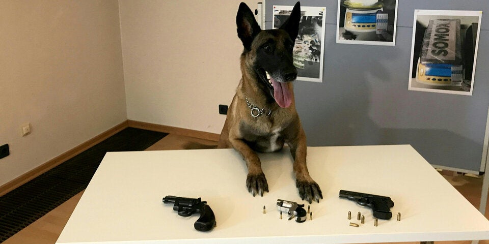 Dealer in Wien-hernasl ausgeforscht