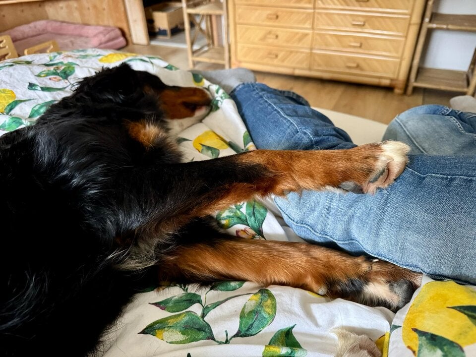 Malu wieder gefunden