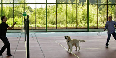 Putin und Medwedew demonstrieren Einheit