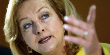 Pilz zeigt Fekter wegen Haidinger an