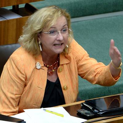 Hitzige Wortgefechte im Parlament