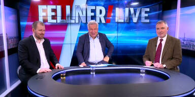 fellner_live_fussi_stadler.jpg