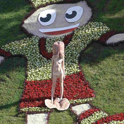 Barbusige protestiert gegen EURO