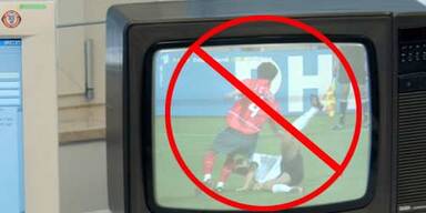 fernseher