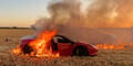 US-Youtuber fackelt Ferrari in Maisfeld ab