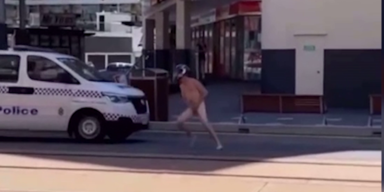 Witzig | Das ist die leichteste Festnahme überhaupt