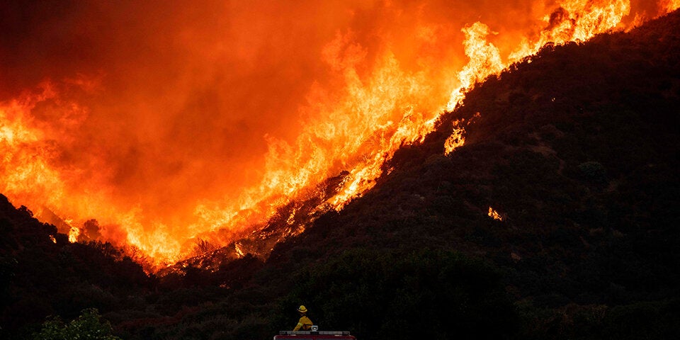 feuer waldbrand kalifornien