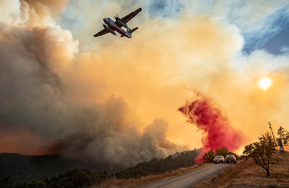 Gender-Reveal-Party löste Mega-Brände in El Dorado aus