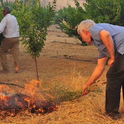 Feuer im Urlaubsparadies