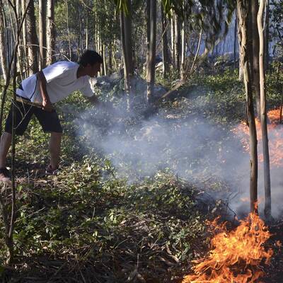 Feuer im Urlaubsparadies