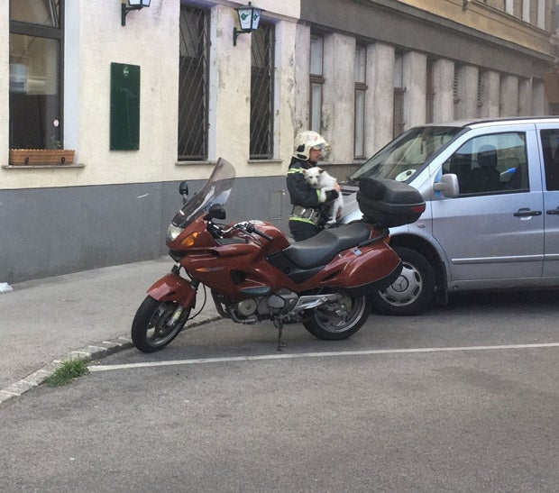Heldenhafte Rettung: Feuerwehr rettet Baby aus Feuer-Wohnung