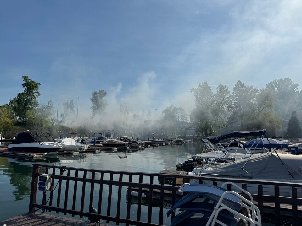 Feuer an der Alten Donau