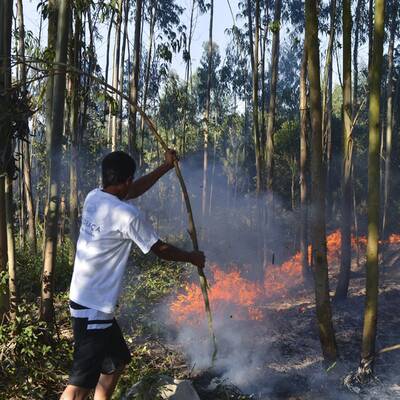 Feuer im Urlaubsparadies