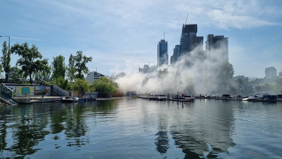 Buschfeuer an der Alten Donau