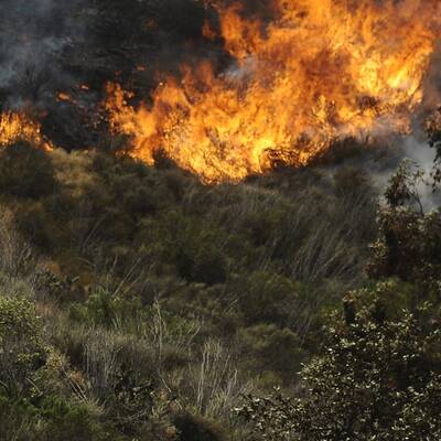 Buschbrände in Kalifornien