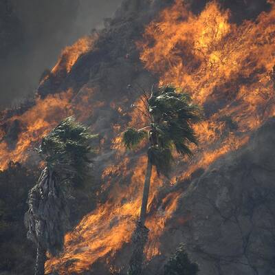 Buschbrände in Kalifornien