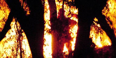 feuer_australien