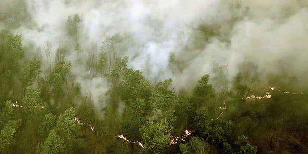 Indonesien: Regen dämmt Smog ein