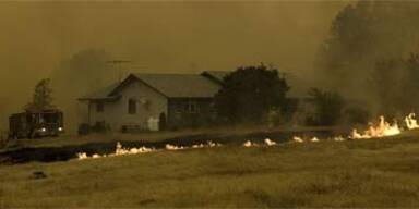 Schwarzenegger ruft Notstand in Brandgebieten aus