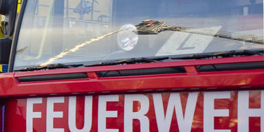 OÖ: Pensionistin sah "komisches Licht"