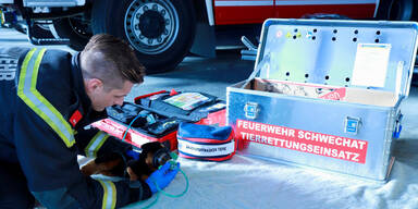Feuerwehr schafft Sauerstoff-Masken f&uuml;r Haustiere an