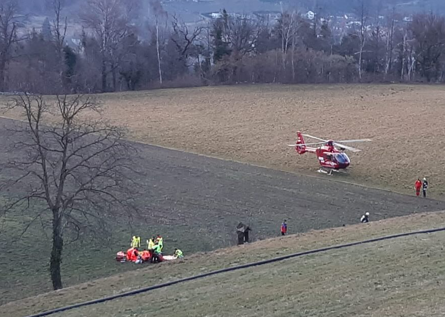 Wolf oder doch ein Hund? 73-Jähriger totgebissen