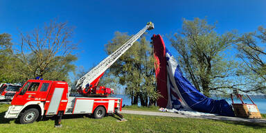 Ballon gegen Baumgruppe gedrückt