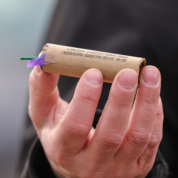 ÖVP-Politikerin will Raketen, Böller und Co. verbieten