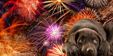 Mehrheit der &Ouml;sterreicher ist gegen Silvesterknallerei