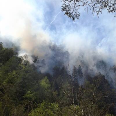 Waldbrände in Kärnten 