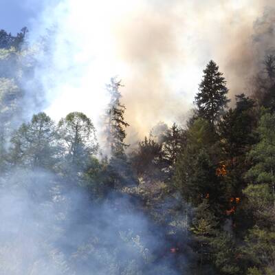 Waldbrände in Kärnten 