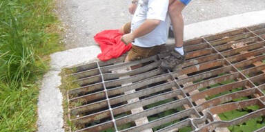 Wanderer blieb in Viehsperre stecken