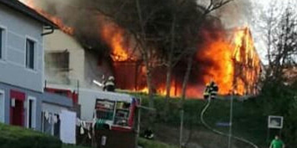 Acht Stiere sterben bei Stall-Brand