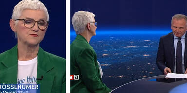 M&auml;nnergewalt-Expertin R&ouml;sslhumer: "Kein Ausl&auml;nderthema"