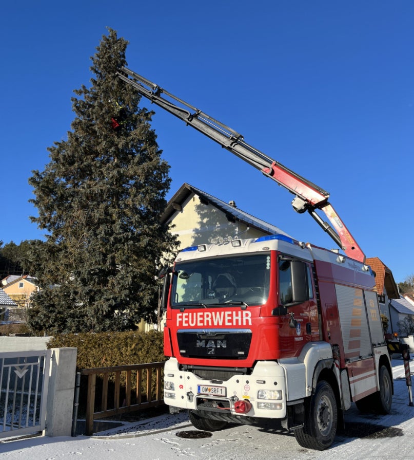 Feuerwehr rettet Katze aus 20 Meter hohem Baum