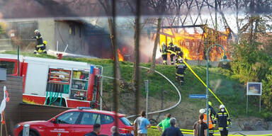 Acht Stiere sterben bei Stall-Brand