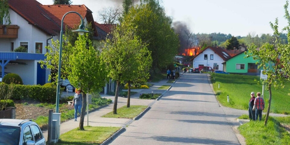 Acht Stiere sterben bei Stall-Brand